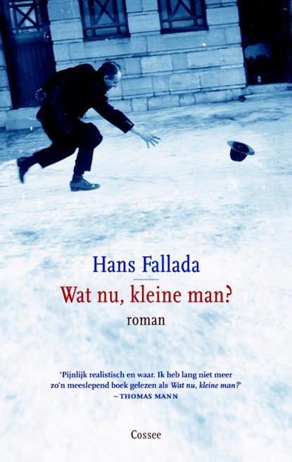 Wat nu, kleine man?, Hans Fallada - Gebonden - 9789059363212