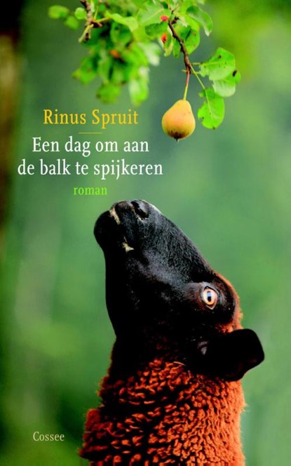 Een dag om aan de balk te spijkeren, Rinus Spruit - Paperback - 9789059364486