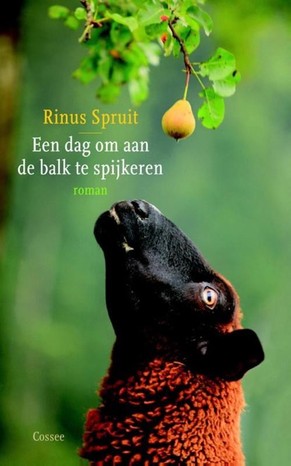 Een dag om aan de balk te spijkeren, Rinus Spruit - Ebook - 9789059364660