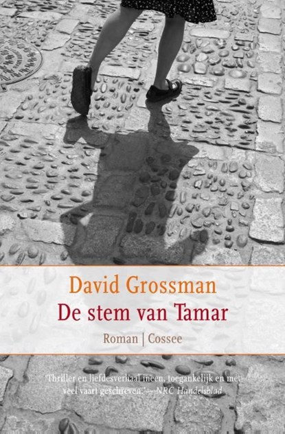 De stem van Tamar, David Grossman - Ebook - 9789059365575