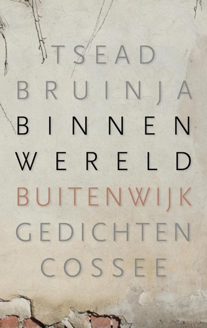 Binnenwereld, buitenwijk, natuurlijke omstandigheden, Tsead Bruinja - Paperback - 9789059366091