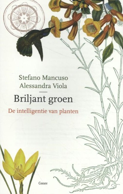 Briljant groen, Stefano Mancuso ; Allessandra Viola - Paperback - 9789059368569