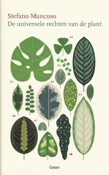 De universele rechten van de plant, Stefano Mancuso - Paperback - 9789059369276
