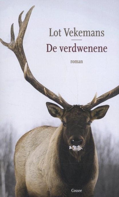 De verdwenene, Lot Vekemans - Paperback - 9789059369412