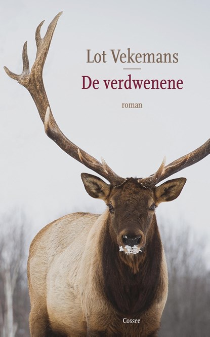 De verdwenene, Lot Vekemans - Ebook - 9789059369429