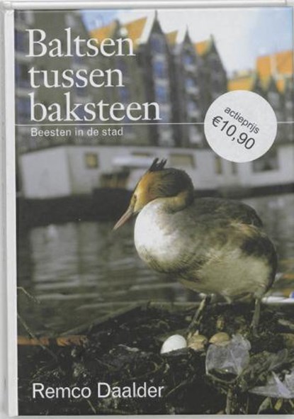 Baltsen tussen baksteen, Daalder, R. - Gebonden - 9789059370425