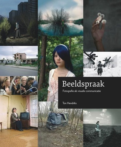 Beeldspraak, Ton Hendriks - Gebonden - 9789059406346