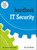 IT-security, Tom de Mulder - Paperback - 9789059409750