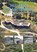 Hitler's Atlantikwall, George Forty ; Leo Marriott ; Simon Forty - Gebonden - 9789059470002