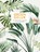 Groen geluk, Maaike Koster ; Emma Sibley - Gebonden - 9789059567528