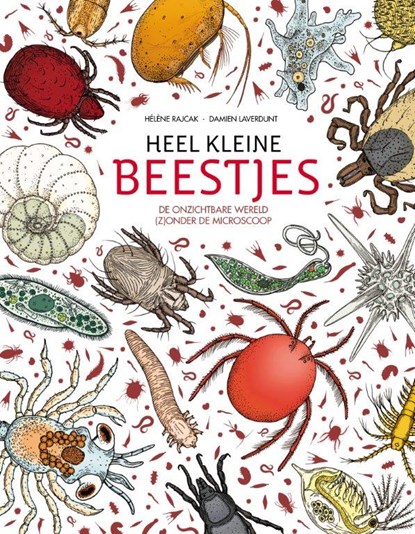Heel kleine beestjes, Hélène Rajcak ; Damien Laverdunt - Gebonden - 9789059568259