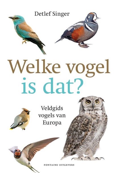 Welke vogel is dat?, Detlef Singer - Paperback - 9789059568426