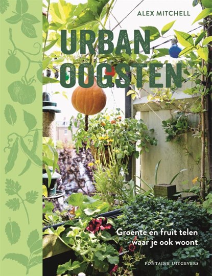 Urban oogsten, Alex Mitchell - Paperback - 9789059569720