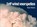 Zelf wind voorspellen, Alan Watts - Paperback - 9789059610101