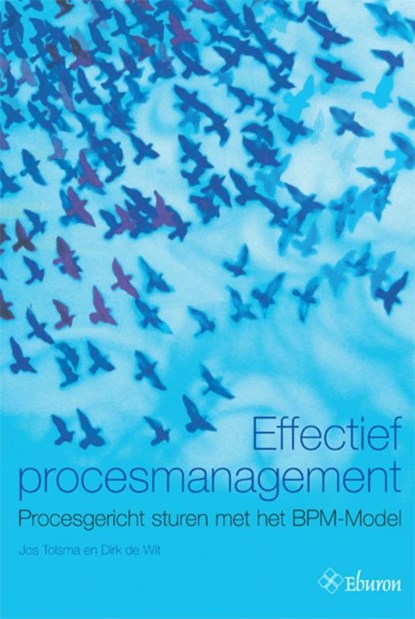 Effectief procesmanagement, Dirk de Wit ; Jos Tolsma - Paperback - 9789059722903
