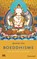 Boeddhisme, Sjoerd de Vries - Paperback - 9789059900431