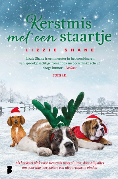 Kerstmis met een staartje, Lizzie Shane - Paperback - 9789059900677