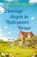 Zonnige dagen in Halesmere House, Suzanne Snow ; Deul en Spanjaard - Paperback - 9789059902503