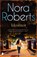 Identiteit, Nora Roberts ; Fast Forward Translations - Paperback - 9789059903876