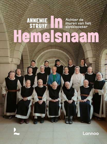 In hemelsnaam, Annemie Struyf - Ebook - 9789059961685