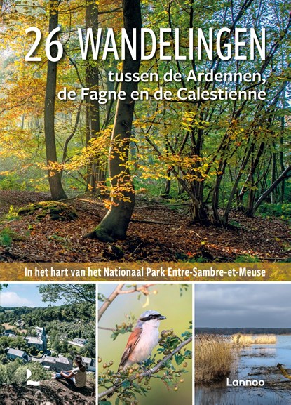26 wandelingen tussen Ardennen, Fagne en Calestienne, Amélie Decrolière ; Maxime Gonze - Ebook - 9789059965140