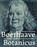 Boerhaave botanicus, Margreet Wesseling - Paperback - 9789059972742