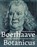 Boerhaave botanicus, Margreet Wesseling - Paperback - 9789059972742