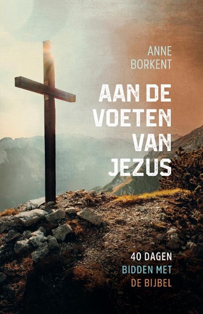 Aan de voeten van Jezus, Anne Borkent - Paperback - 9789059990531