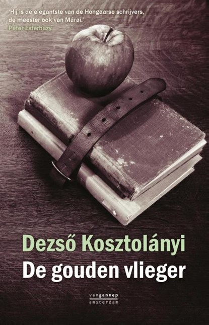 De gouden vlieger, Dezso Kosztolanyi - Ebook - 9789060125090