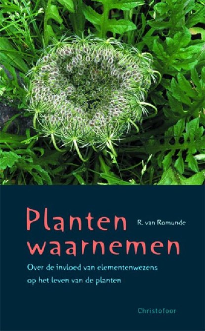 Planten waarnemen, R. van Romunde - Paperback - 9789060386026