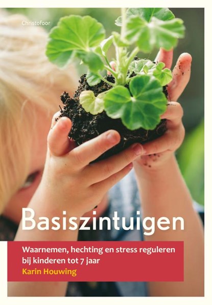 Basiszintuigen, Karin Houwing - Paperback - 9789060387665