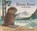 Kleine Bever en de echo, Amy MacDonald - Gebonden - 9789060697665