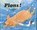 Plons!, Martin Waddell ; Jill Barton - Gebonden - 9789060698433