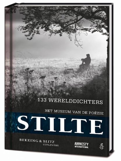 Stilte, Daan Bronkhorst ; Nick Verouden - Paperback - 9789061094982