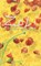 Zoli, C. McCann - Paperback - 9789061697978