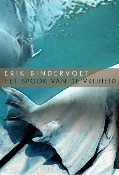Het spook van de vrijheid, Erik Bindervoet - Paperback - 9789061699484