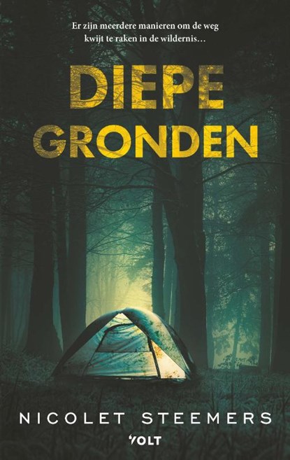 Diepe gronden, Nicolet Steemers - Paperback - 9789062224159