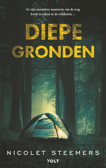 Diepe gronden, Nicolet Steemers - Paperback - 9789062224159