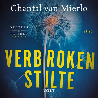 Verbroken stilte, Chantal van Mierlo - Luisterboek MP3 - 9789062224975