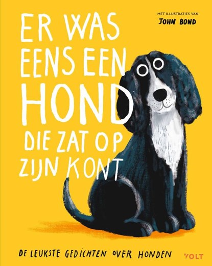 Er was eens een hond die zat op z’n kont, niet bekend - Gebonden - 9789062226511