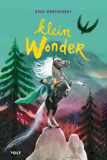 Klein wonder, Ross Montgomery - Gebonden - 9789062226726