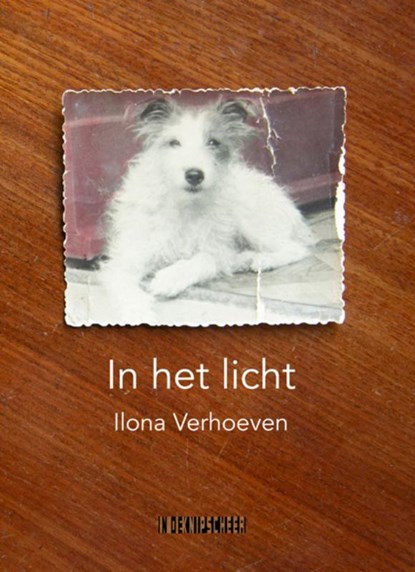 In het licht, Ilona Verhoeven - Paperback - 9789062656356