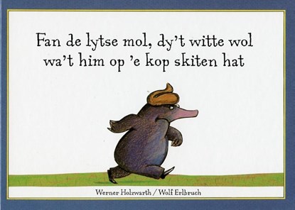 Fan de lytse mol dy't witte wol, Holzwarth - Paperback - 9789062734740