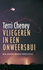 Vliegeren in een onweersbui | Terri Cheney | 