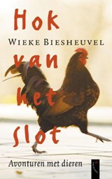 Hok van het slot - BIESHEUVEL, Wieke  - 9789063053765