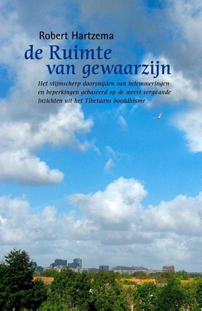 De ruimte van gewaarzijn, Robert Hartzema - Paperback - 9789063501013