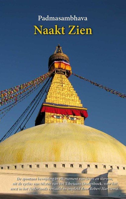 Naakt zien, Padmasambhava - Gebonden - 9789063501082