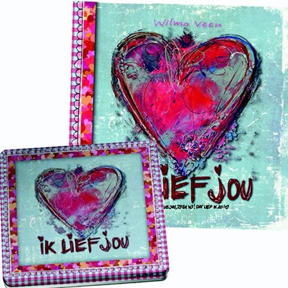 Cadeaubox, niet bekend - Gebonden - 9789063536893