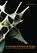 AI-Assisted Architectural Design, Asterios Agkathidis - Paperback - 9789063697044