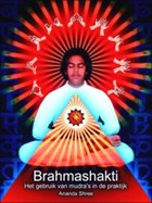 Brahmashakti - Het gebruik van mudra's in de praktijk | Ananda Shree | 